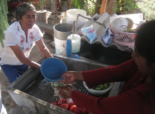 washing_vegetables washing_vegetables