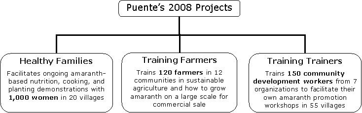 project chart.gif