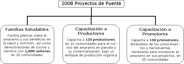 2008 proyectos.gif