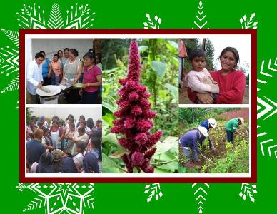 holiday card 2008.jpg
